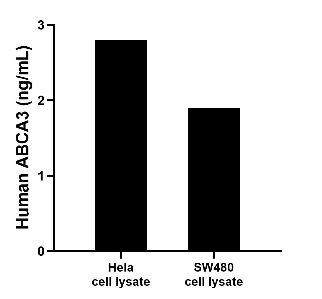 Hela and SW480 cell lysates were measured. The human ABCA3 concentration of detected samples was determined to be 2.8 ng/mL (based on a 2.1 mg/mL extract load) in Hela cell lysate and 1.9 ng/mL (based on a 2.3 mg/mL extract load) in SW480 cell lysate. 